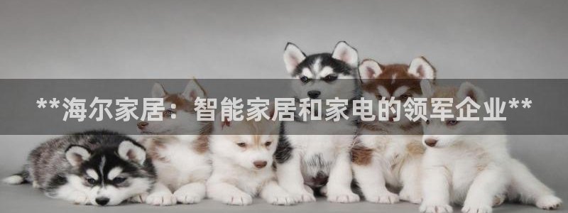 ug环球视讯手机版官网