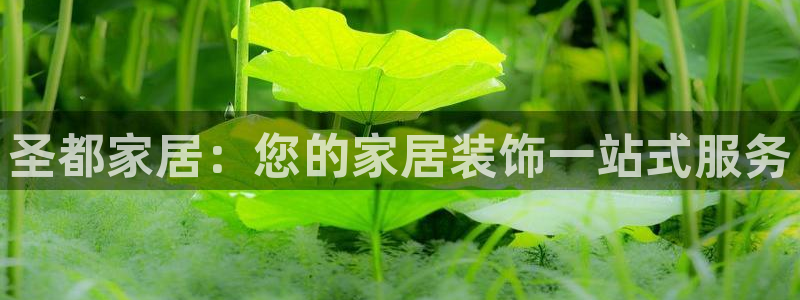 ug环球国际官网