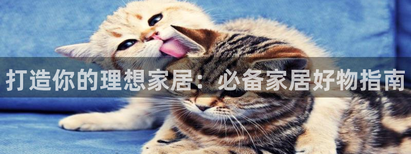 ug环球会员手机版下载官网