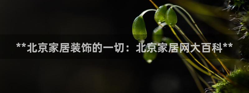 UG环球网一比一