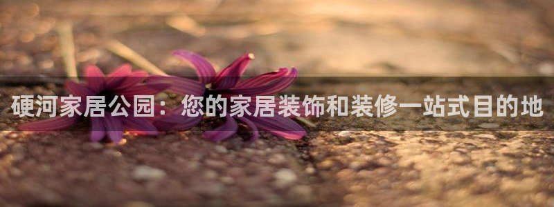 ug环球买分卖分