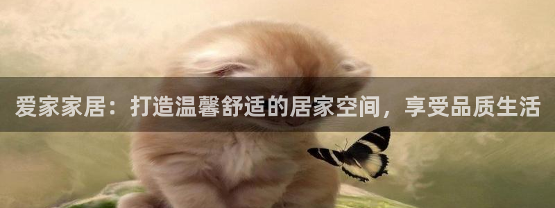 ug环球正网包杀