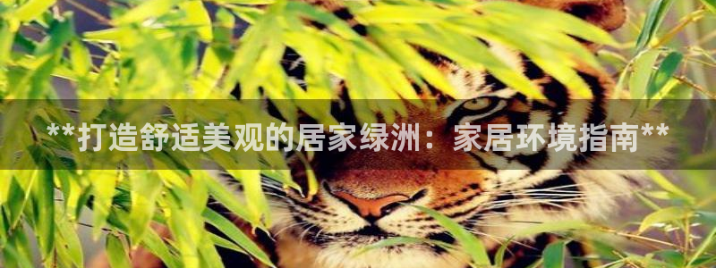 ug环球360