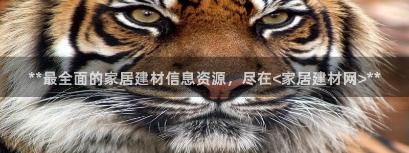 UG环球视讯官网