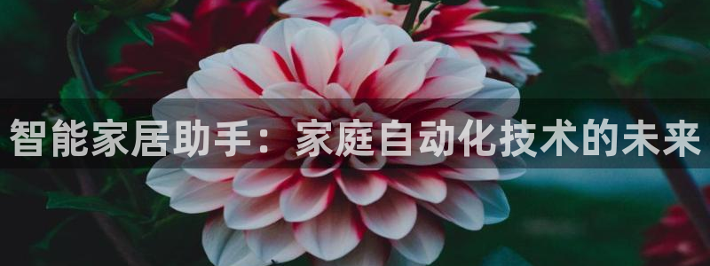 ug环球密码重置是多少位数