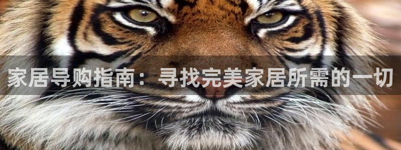环球ug登录网站app