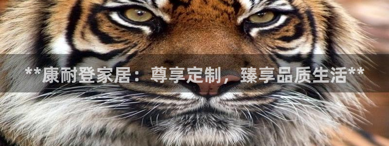 ug环球代理开户