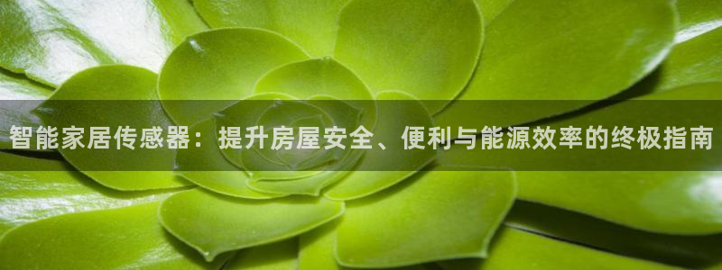 ug环球官网在线