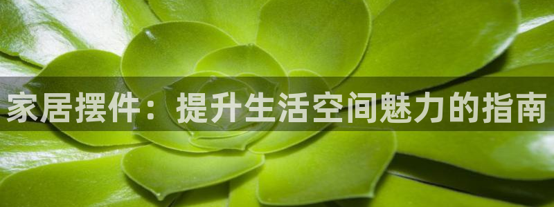 UG环球代理