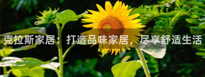 环球国际ug