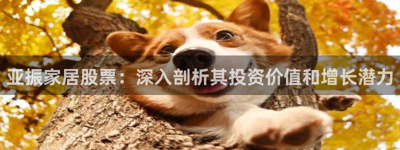 ug环球在线开户