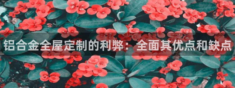 ug环球app下载