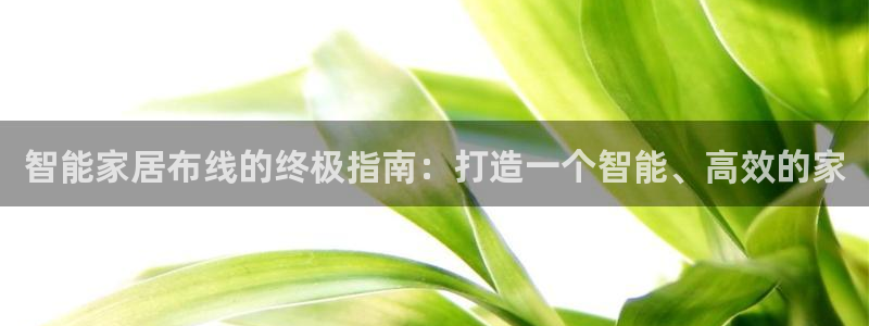 ug环球正网包杀
