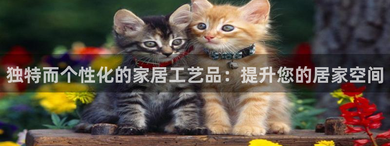 ug环球密码重置是多少位数