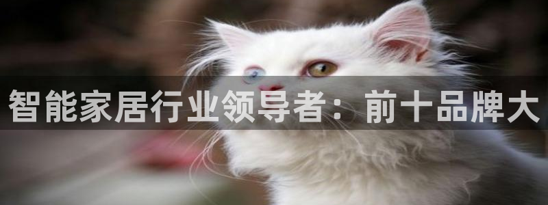 ug环球买代理