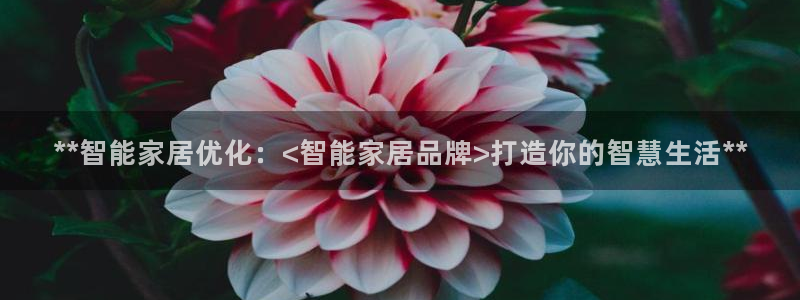UG环球会员官方