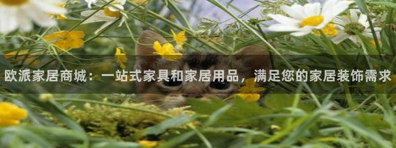 UG环球代理合作