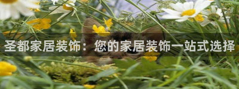 ug环球视讯官网网址