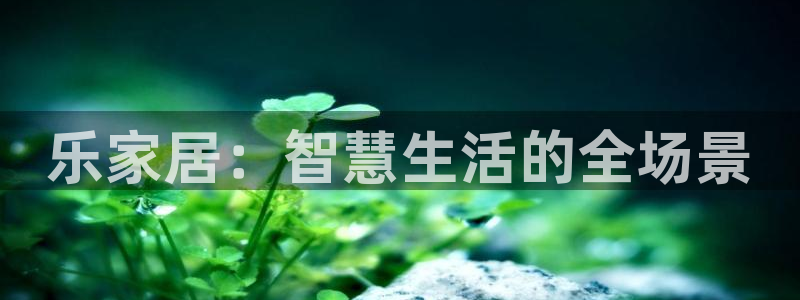 ug环球代理平台