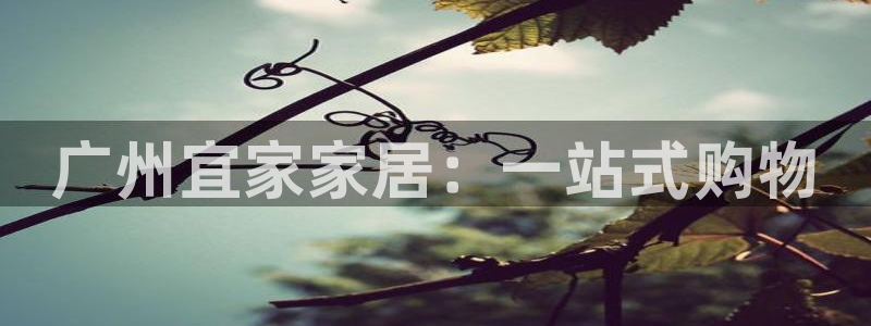 Ug环球私网一比一