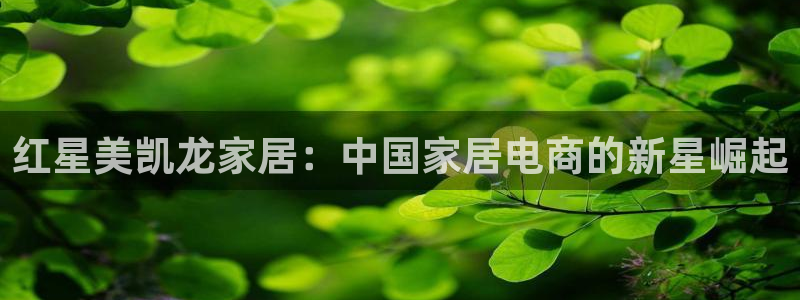 ug环球会员登陆