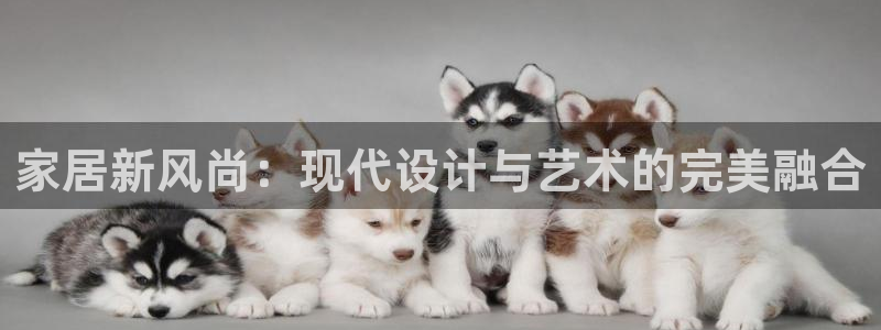 UG环球代理