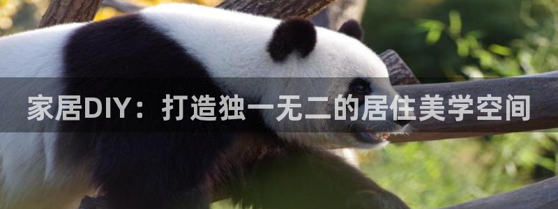 ug环球代理平台