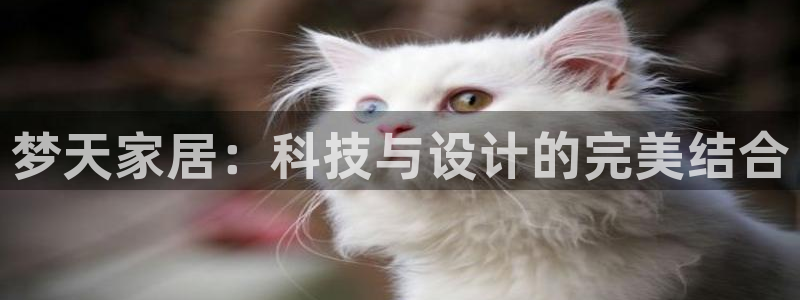 UG环球视讯官网