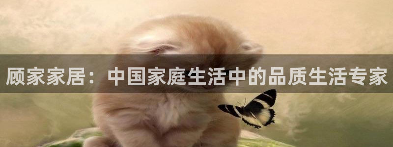 uG环球网站