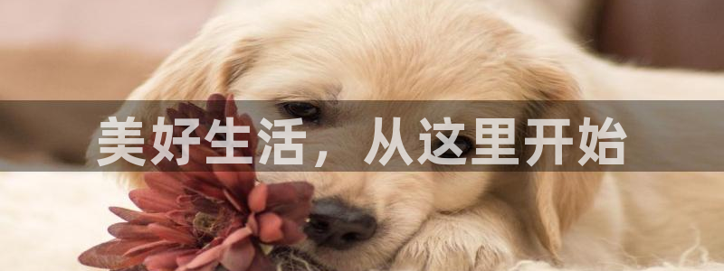 ug环球网