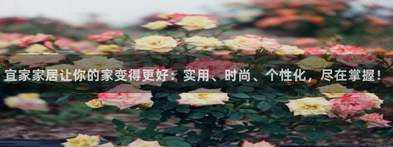 ug环球国际360