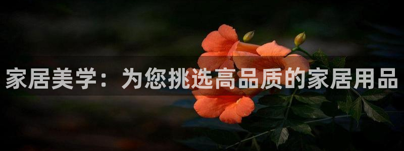 UG环球视讯