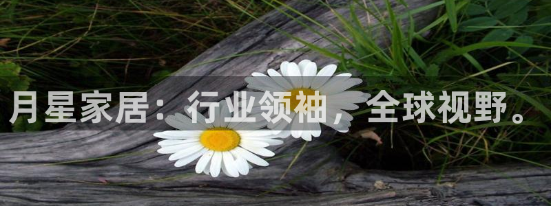 ug环球会员