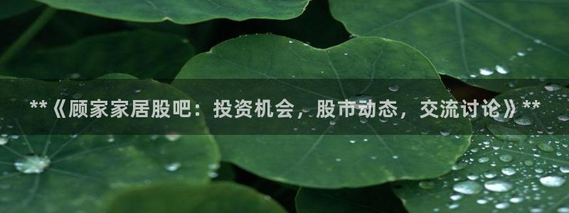ug环球官网会员