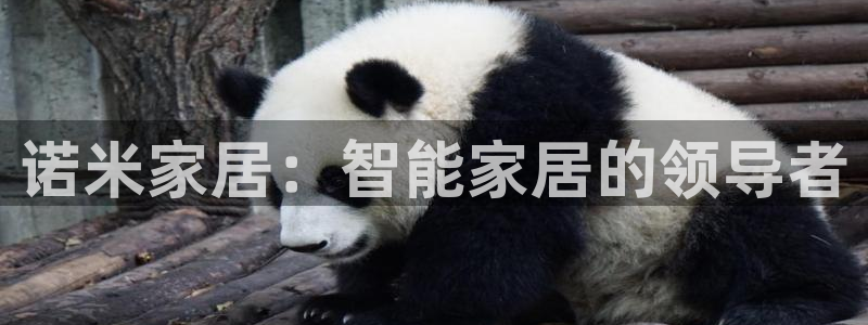 ug环球会员手机版下载官网