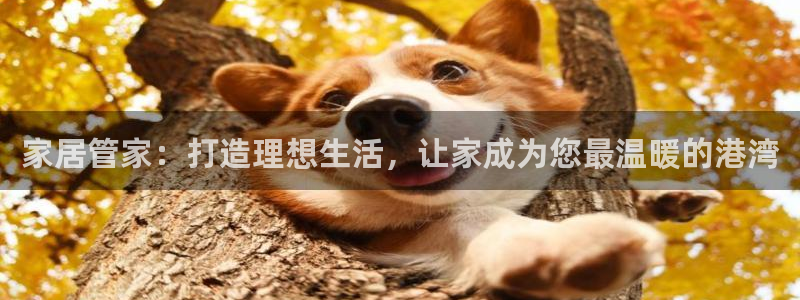 ug环球会员注册