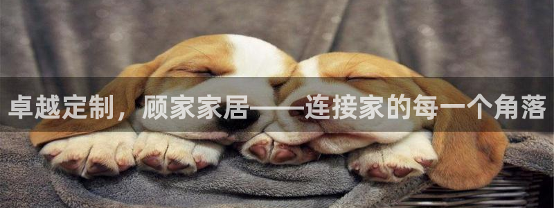 ug环球官网登录