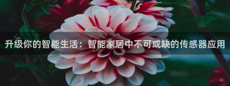 ug环球会员注册开户