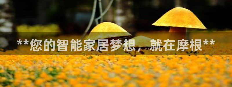 ug环球官网会员注册