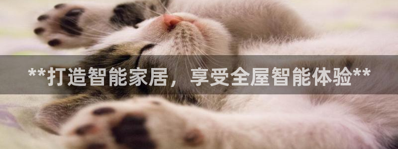 ug环球官网登录