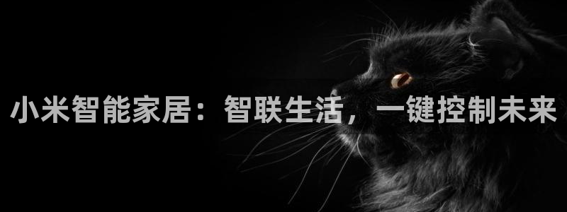 ug环球官网注册会员