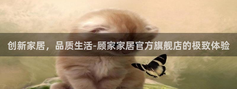 ug环球会员官网