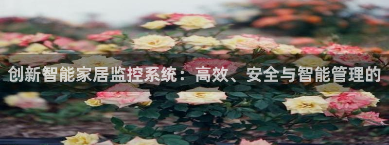 ug环球密码重置是多少位数